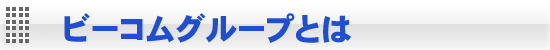 Beecomgroupとは Beecomgroupとは
